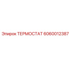 Фото термостата Epiroc деталь 6060012387