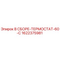 1622375981 В СБОРЕ-ТЕРМОСТАТ-60-C Epiroc