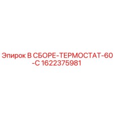 Оригинальный термостат в сборе Epiroc 1622375981 с температурой срабатывания 60°C
