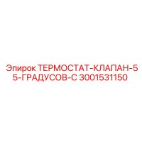 3001531150 ТЕРМОСТАТ-КЛАПАН-55-ГРАДУСОВ-C Epiroc