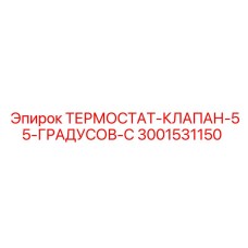 3001531150 ТЕРМОСТАТ-КЛАПАН-55-ГРАДУСОВ-C Epiroc