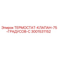 3001531152 ТЕРМОСТАТ-КЛАПАН-75-ГРАДУСОВ-C Epiroc