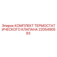2205490593 КОМПЛЕКТ ТЕРМОСТАТИЧЕСКОГО КЛАПАНА Epiroc