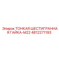 4812271193 ТОНКАЯ ШЕСТИГРАННАЯ ГАЙКА-M22 Epiroc
