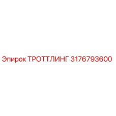 3176793600 ТРОТТЛИНГ Epiroc