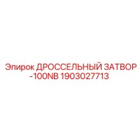 1903027713 ДРОССЕЛЬНЫЙ ЗАТВОР-100NB Epiroc