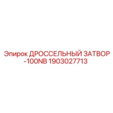 1903027713 ДРОССЕЛЬНЫЙ ЗАТВОР-100NB Epiroc