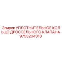 9753204318 УПЛОТНИТЕЛЬНОЕ КОЛЬЦО ДРОССЕЛЬНОГО КЛАПАНА Epiroc