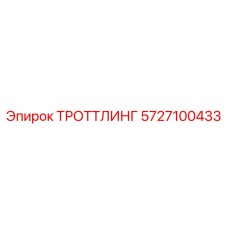 5727100433 ТРОТТЛИНГ Epiroc