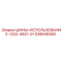 538048390 ШИНЫ-ИСПОЛЬЗОВАНИЕ-1202-9921-01 Epiroc