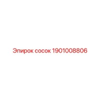 1901008806 сосок Epiroc