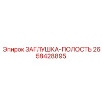 2658428895 ЗАГЛУШКА-ПОЛОСТЬ Epiroc