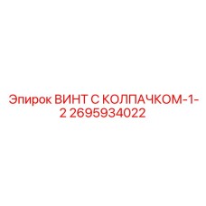 2695934022 ВИНТ С КОЛПАЧКОМ-1-2 Epiroc
