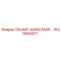 1630800571 ТМ.МАГ.ШАКЕЛААР… - Epiroc