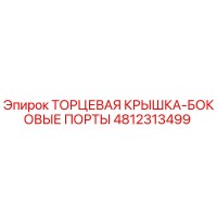 4812313499 ТОРЦЕВАЯ КРЫШКА-БОКОВЫЕ ПОРТЫ Epiroc