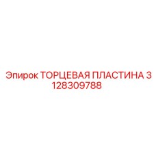 Фото торцевой пластины Эпирок артикул 3128309788