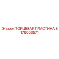 3176003571 ТОРЦЕВАЯ ПЛАСТИНА Epiroc