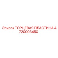 ТОРЦЕВАЯ ПЛАСТИНА 4720003450 Эпирок