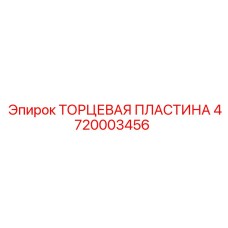 ТОРЦЕВАЯ ПЛАСТИНА 4720003456 Эпирок