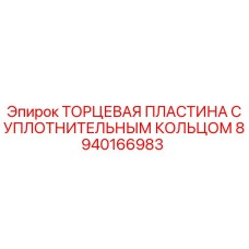 8940166983 ТОРЦЕВАЯ ПЛАСТИНА С УПЛОТНИТЕЛЬНЫМ КОЛЬЦОМ Epiroc
