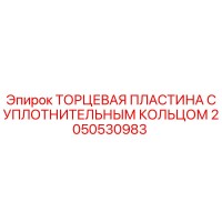 2050530983 ТОРЦЕВАЯ ПЛАСТИНА С УПЛОТНИТЕЛЬНЫМ КОЛЬЦОМ Epiroc
