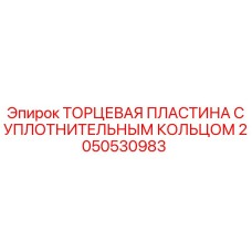 Торцевая пластина с уплотнительным кольцом 2050530983