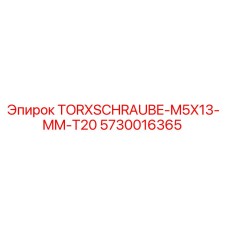 5730016365 TORXSCHRAUBE-M5X13-MM-T20 Epiroc