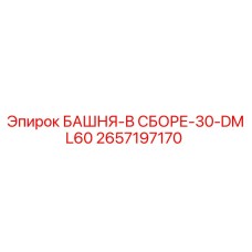 2657197170 БАШНЯ-В СБОРЕ-30-DML60 Epiroc