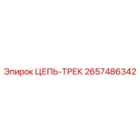 2657486342 ЦЕПЬ-ТРЕК Epiroc