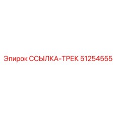 51254555 ССЫЛКА-ТРЕК Epiroc