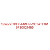 5730021455 ТРЕК-МИНИ-ЭСТАТЕЛИ Epiroc