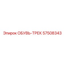57508343 ОБУВЬ-ТРЕК Epiroc
