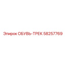 58257769 ОБУВЬ-ТРЕК Epiroc
