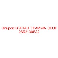 2652139532 КЛАПАН-ТРАММА-СБОР Epiroc