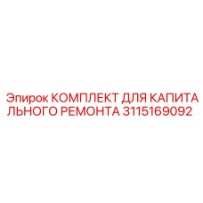 3115169092 КОМПЛЕКТ ДЛЯ КАПИТАЛЬНОГО РЕМОНТА Эпирок