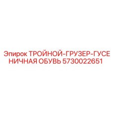 5730022651 ТРОЙНОЙ-ГРУЗЕР-ГУСЕНИЧНАЯ ОБУВЬ Epiroc