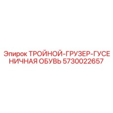 5730022657 ТРОЙНОЙ-ГРУЗЕР-ГУСЕНИЧНАЯ ОБУВЬ Epiroc