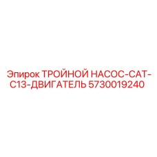 5730019240 ТРОЙНОЙ НАСОС-CAT-C13-ДВИГАТЕЛЬ Epiroc