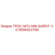 2658423799 ТРОС-М12-МФ-БАЙНТ-1-0 Epiroc