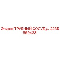 2235569433 ТРУБНЫЙ СОСУД Epiroc