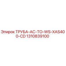 1310839100 Труба AC-TO-WS-XAS400-CD Epiroc