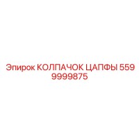 5599999875 КОЛПАЧОК ЦАПФЫ Epiroc