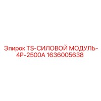 1636005638 TS-СИЛОВОЙ МОДУЛЬ-4P-2500A Epiroc