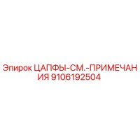 9106192504 ЦАПФЫ-СМ.-ПРИМЕЧАНИЯ Epiroc
