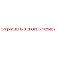 57429482 ЦЕПЬ В СБОРЕ Epiroc