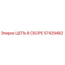 57429482 ЦЕПЬ В СБОРЕ Epiroc