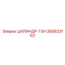 2658231101 ЦИЛИНДР-TXH от Epiroc