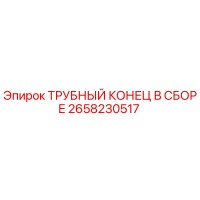 2658230517 ТРУБНЫЙ КОНЕЦ В СБОРЕ Epiroc