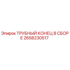 2658230517 ТРУБНЫЙ КОНЕЦ В СБОРЕ Epiroc