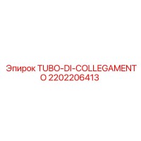 2202206413 TUBO-DI-COLLEGAMENTO Epiroc